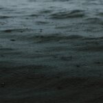 body of water during daytime